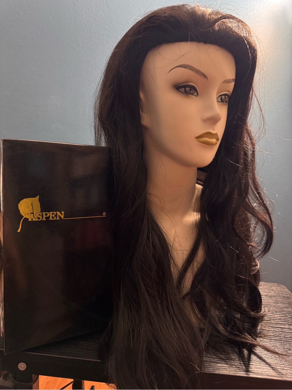 Aspen Long Natural Black Women's Wig — Sleek Layered Style